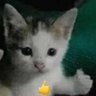 Фото профиля PizzaHaxe