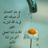 أبنة رجل عظيم profil fotoğrafı