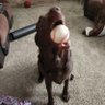 Tracy profil fotoğrafı