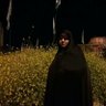 سکینه حجی پور's profile picture