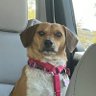 Tony's profile picture