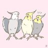 ꒰ঌもぐぴぴ。🐥໒꒱ profil fotoğrafı
