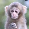 Kika's profile picture