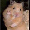 pam's profile picture