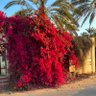 Фото профиля نوف