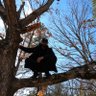 Profilbild von blackbyrd