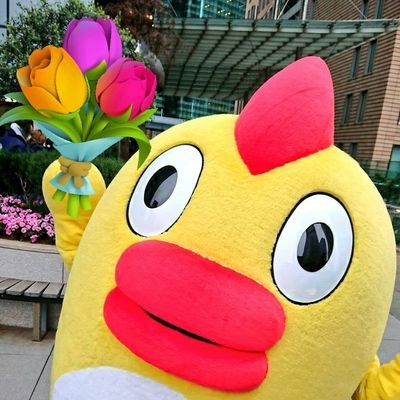 💛そら部の部長❤️'s profile picture
