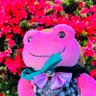 Фото профиля りらこ
