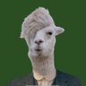 Фото профиля smilinglllama