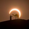حـسـن | ℋ𝒜𝒮𝒮𝒜𝒩 profil fotoğrafı