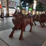 王非 的头像