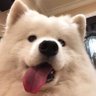 อุ้มอุ้มหัวใจพี่มาย ʕ⁀ᴥ⁀ʔ's profile picture