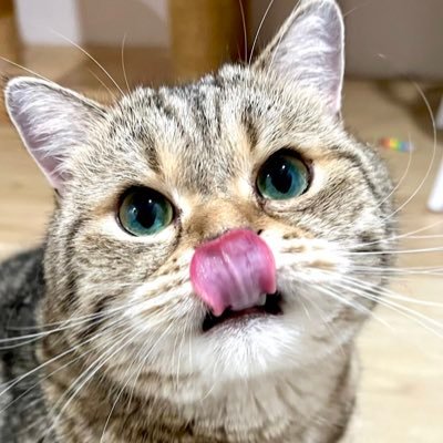 ใจสะอาด Ⓥ.Aspie's profile picture