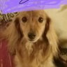 Profilbild von Karen Daly