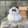 何でも屋 水本貴幸 (水本借家)'s profile picture