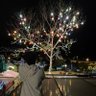 Mais Alshehab profil fotoğrafı