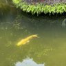 沙耶 profil fotoğrafı