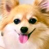 Profilbild von ミズホ
