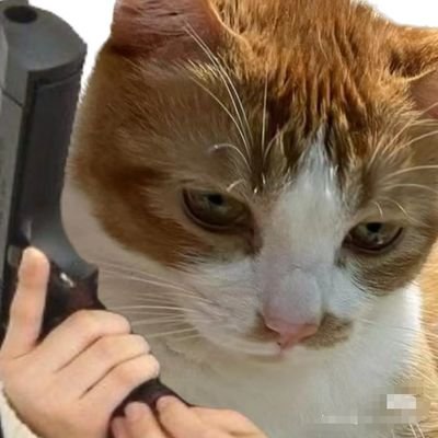 yasenshifudo's profile picture