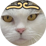 🌿's profile picture