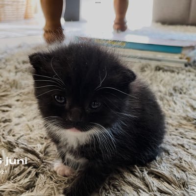JanLLeutscher's profile picture