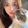 成都妈妈 profil fotoğrafı