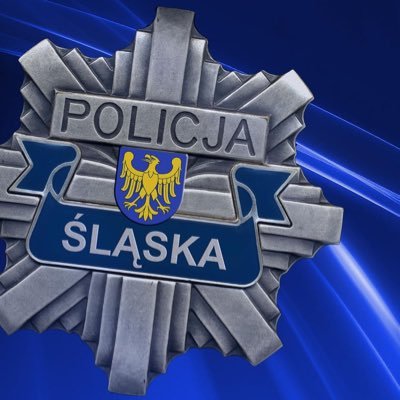 Policja Śląska 🇵🇱's profile picture