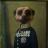 The Meerkat's profile picture