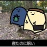 楓栗(ふうりつ) 的头像