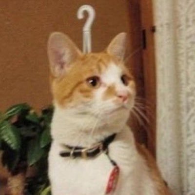 와치's profile picture