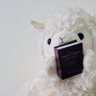 Фото профиля がじゅがじゅ