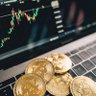 tuduy crypto's profile picture