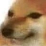 qwescws's profile picture