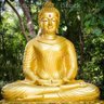 Фото профиля BUDDHA