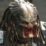 PREDATORA's profile picture