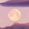 MarkTHX's profile picture