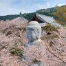 アップルパイ profil fotoğrafı