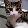 Junsan's profile picture
