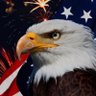 GWsHorses I STAND WITH TRUMP🇺🇸's profile picture