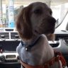 ayarsız (n.y)'s profile picture