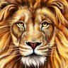Profilbild von MaGui 🎓🦁🌵