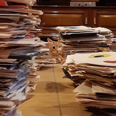 SteveSnooker's profile picture
