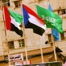 الجنوب العربي 的头像