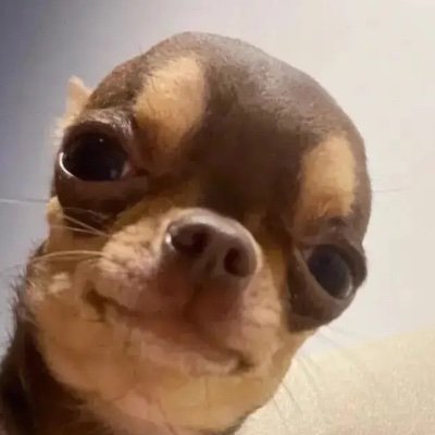 27kariX's profile picture