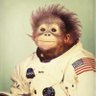 Diamond Balls Patriot's profile picture