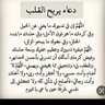 Фото профиля عاشت بلادي