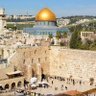 Tzvi Israel Fidelman profil fotoğrafı