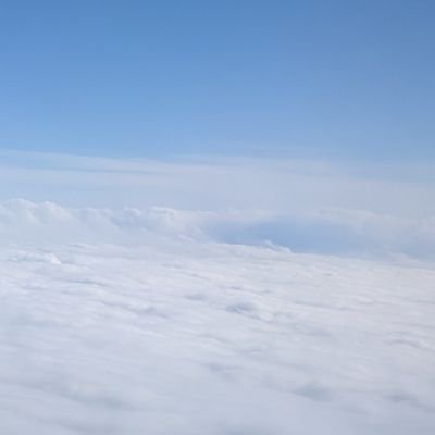 kisvig's profile picture