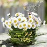 nasser salem's profile picture