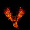 Profilbild von Phoenix